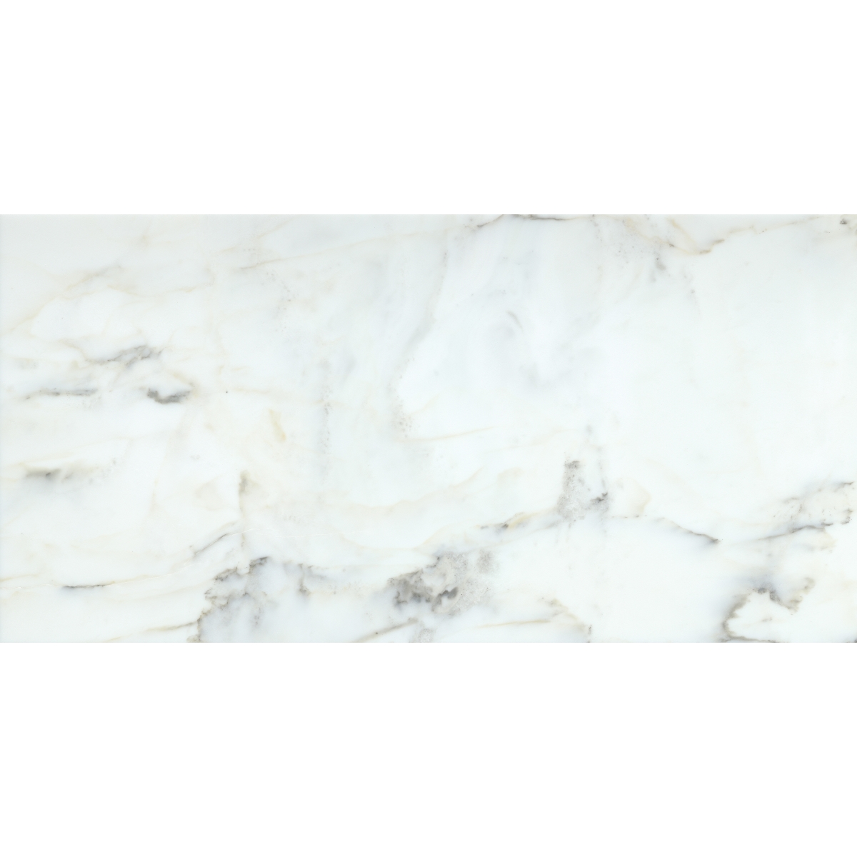 Calacata Extra Polished